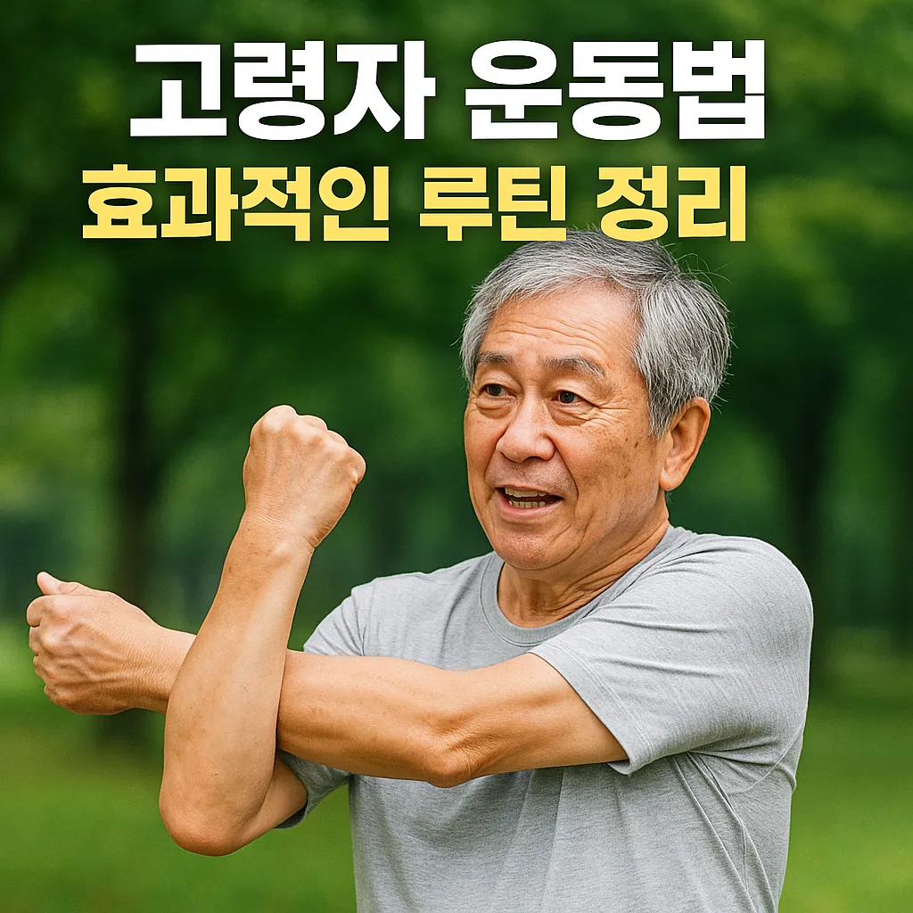 고령자 운동법, 효과적인 루틴 정리.webp
