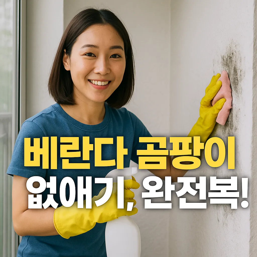 베란다 곰팡이 없애기.webp
