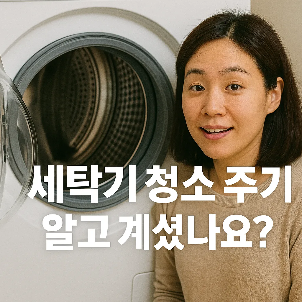 세탁기 청소 주기.webp