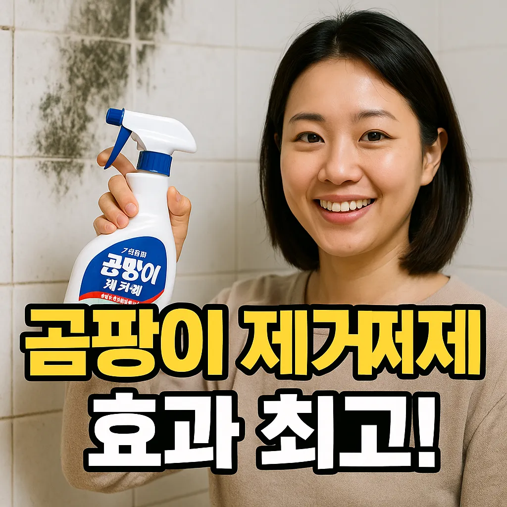 곰팡이 제거제 추천.webp