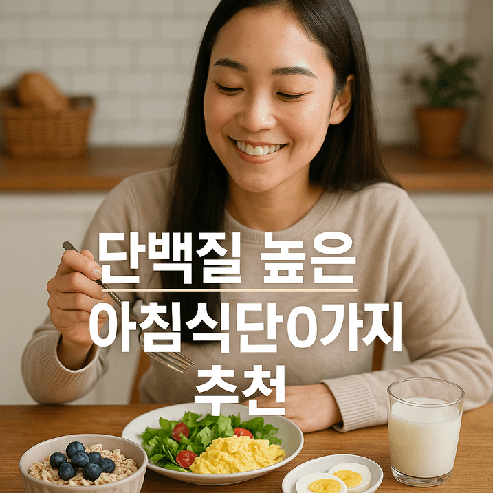 단백질 높은 아침식단 10가지 추천 – 2025년 최신 가이드