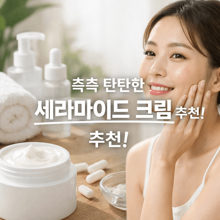 세라마이드 크림 2026 TOP7 정리