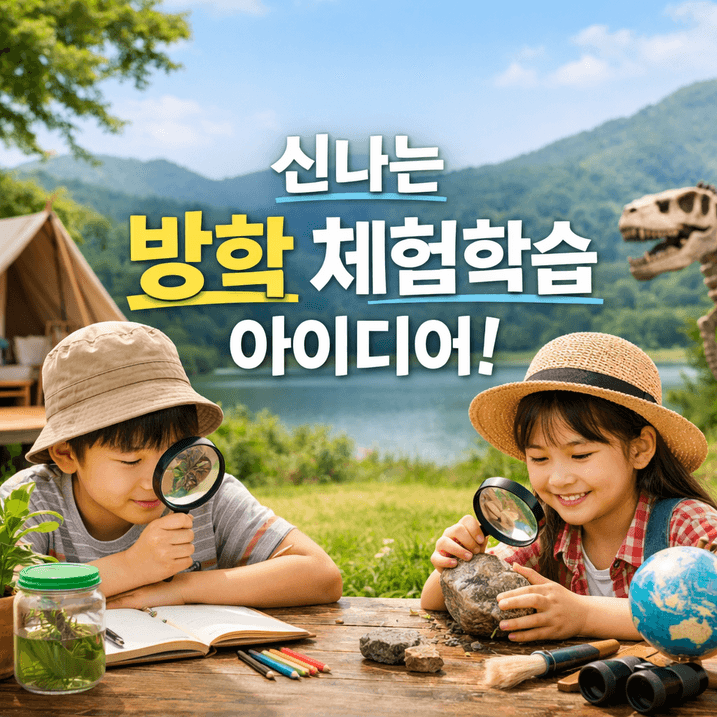 겨울방학 체험학습 2026 전국 정리